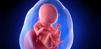 18. nedjelja trudnoće