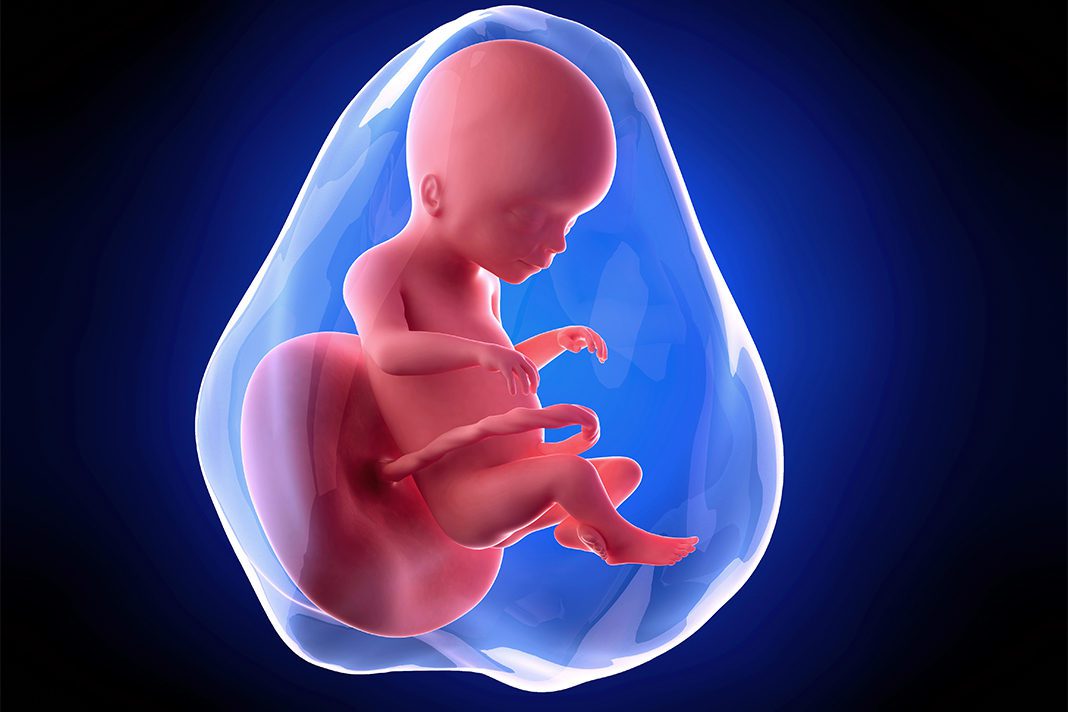 20-nedjelja-trudnoce--mamaklik