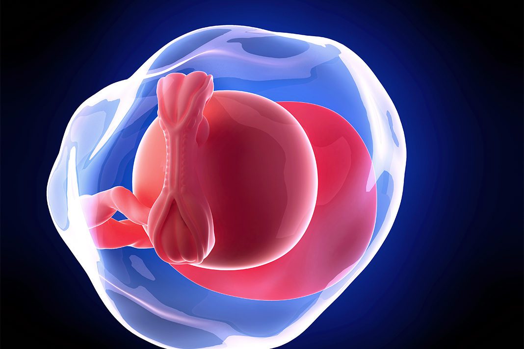 5-nedjelja-trudnoce-mamaklik