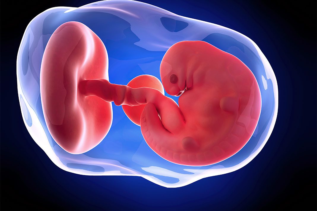 6-nedjelja-trudnoce-mamaklik