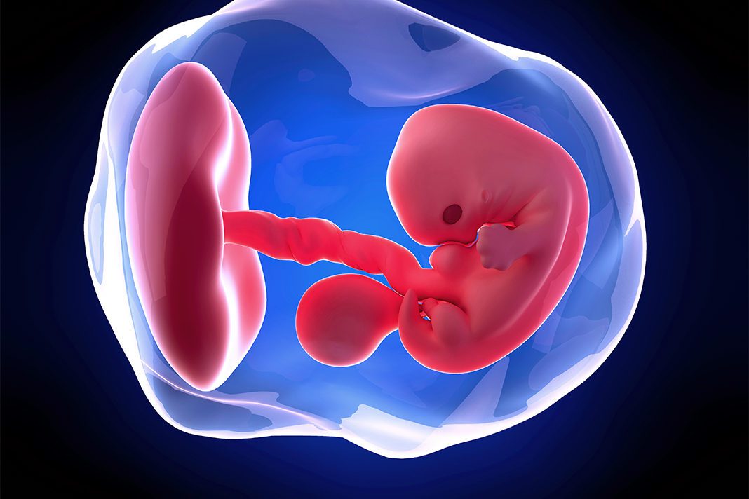 7-nedjelja-trudnoće-mamaklik