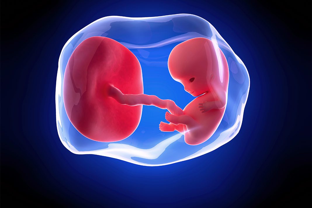 9-nedjelja-trudnoce-mamaklik