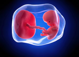 9. nedjelja trudnoće