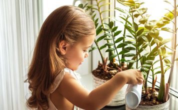 Ovo su OTROVNE BILJKE u kući (FOTO) – Zaštitite bebe i djecu! Ovo-su-OTROVNE-BILJKE-u-kući-Zaštitite-bebe-i-djecu-MAMAKLIK.jpg