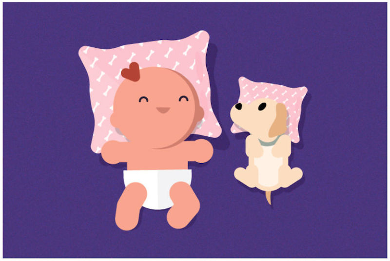 Bebe i NEOBIČNE činjenice o njima koje vjerovatno niste znali! 