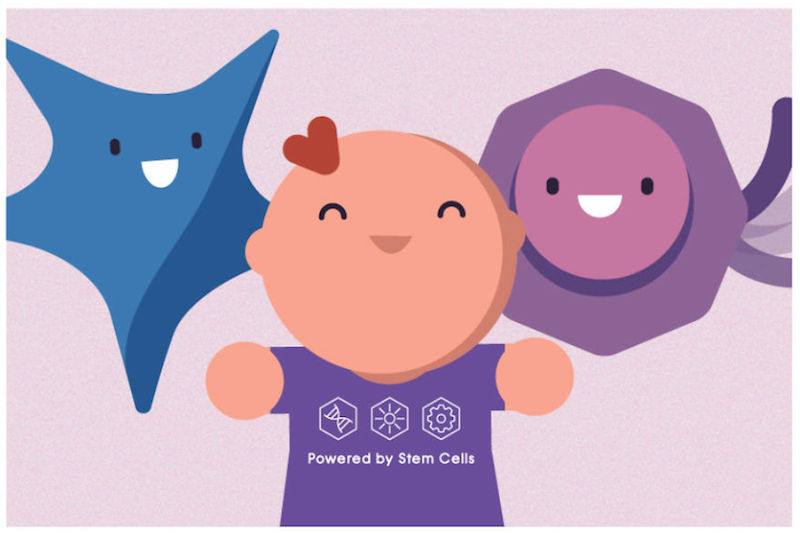 Bebe i NEOBIČNE činjenice sve o maticnim celijama