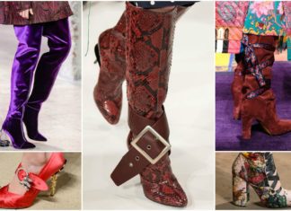 Za mačke u čizmama: Trendi obuća za novu sezonu