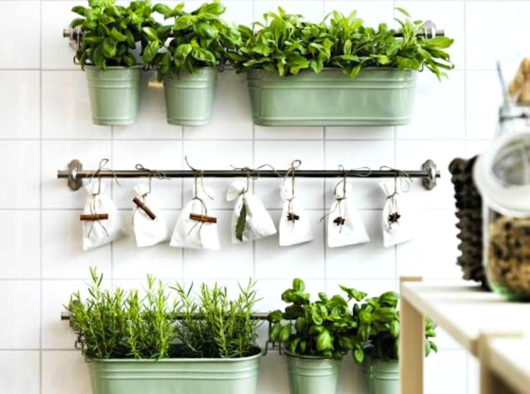 mali zacinski ljekoviti vrt