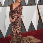 Moda za trudnice: Fantasične modne kombinacije za dame u trudnoći haljine mamaklik