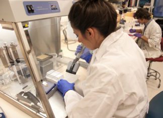 Zašto medicina ne može da napreduje bez matičnih ćelija?