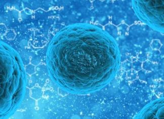 ŠTA SU MATIČNE ĆELIJE i zbog čega su toliko važne za zdravlje? Šta su matične ćelije i zbog čega su toliko važne?