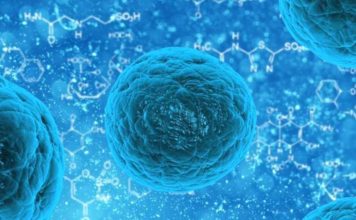 ŠTA SU MATIČNE ĆELIJE i zbog čega su toliko važne za zdravlje? Šta su matične ćelije i zbog čega su toliko važne?