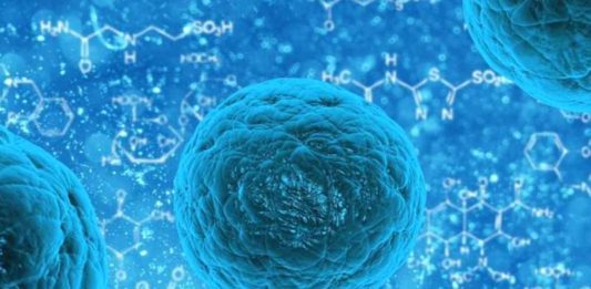 Šta su matične ćelije i zbog čega su toliko važne?