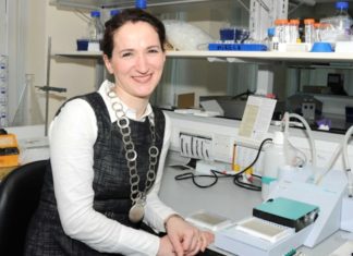 Tuzlanka osmislila lijek koji čisti arterije: Mirela Delibegović ekskluzivno o svom otkriću