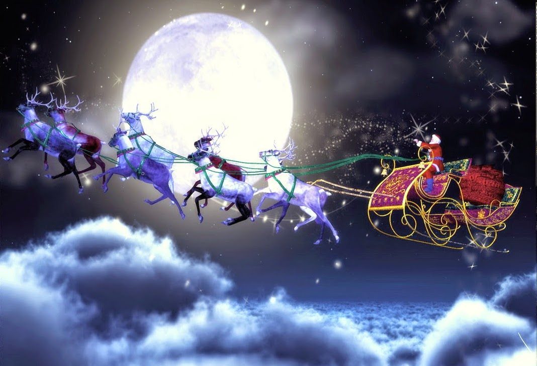 Otkriveno ko vuče sanke Djeda Mraza: Odgovor dao zoolog