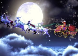 Otkriveno ko vuče sanke Djeda Mraza: Odgovor dao zoolog Otkriveno ko vuče sanke Djeda Mraza: Odgovor dao zoolog