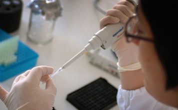 Naučnici u laboratoriji razvili zrela ljudska jajašca