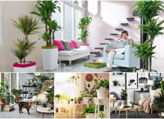 Zimski kućni vrtovi: Napravite kutak za pravo uživanje