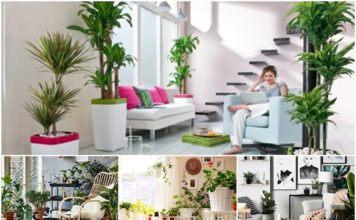 Zimski kućni vrtovi: Napravite kutak za pravo uživanje