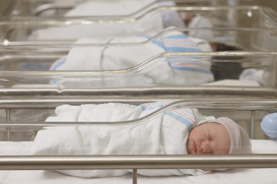 Hercegovci najduze bebe