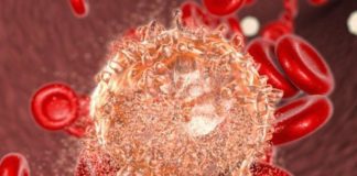 „Dobri” mikrobi brane djecu od raka