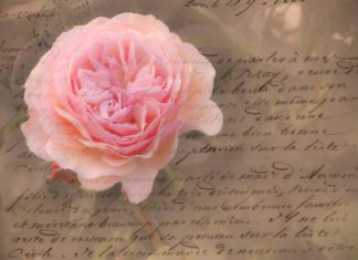 Iskreno pismo mužu: Vrijeme kada je bilo teško voljeti te