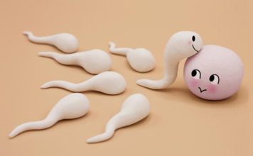 Otkriće naučnika: Pri oplođivanju, jajna ćelija bira spermatozoid