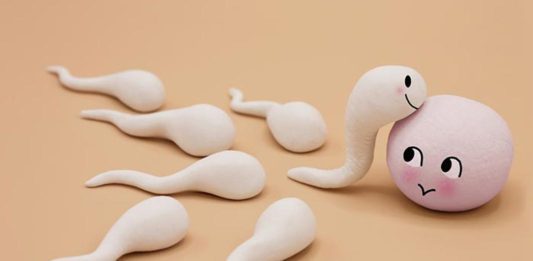 Otkriće naučnika: Pri oplođivanju, jajna ćelija bira spermatozoid