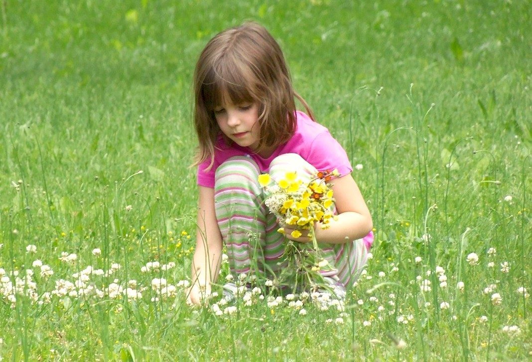 djevojcica krpelj cvijece Krpelj na djetetu može proći neopaženo ali se simptomi lajamske bolesti ne smiju ignorisati