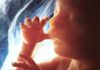 Kako nastaje život: Nevjerovatne fotografije razvoja bebe u stomaku