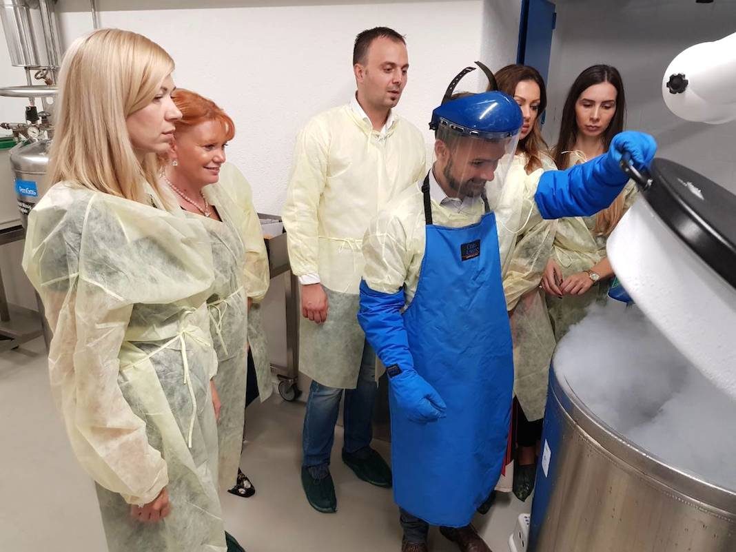 kako se čuvaju matične ćelije? Šta su matične ćelije iz krvi pupčanika i zašto su važne mamaklik