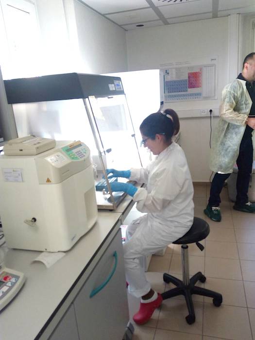 kako se čuvaju matične ćelije? Šta su matične ćelije iz krvi pupčanika i zašto su važne mamaklik