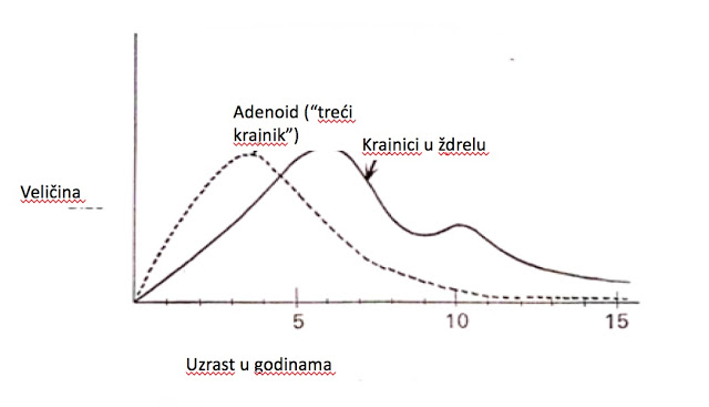 Dr Branimir Nestorović: Da li treba uklanjati krajnike?