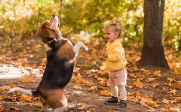 BORAVAK DJECE NA ZRAKU 8 dobrih razloga zbog kojih djeca treba što više da borave u prirodi i na otvorenom