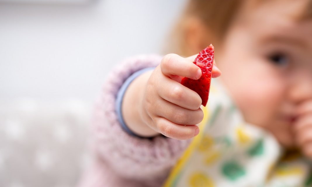 Macro Close up of Baby Hand with a Piece of Fruits Sitting in Child's Chair Kid Eating Healthy Food Bobičasto voće u ishrani djece Kad beba smije jesti jagode, maline... mamaklik.jpg
