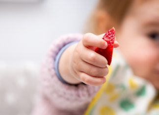 Bobičasto voće u ishrani djece Kad beba smije jesti jagode, maline... mamaklik.jpg