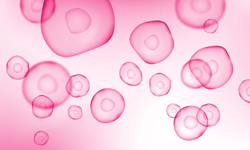 Šta su matične ćelije?